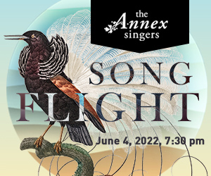 Poster image for Song Flight, a black bird stands on a branch with text surrounding it